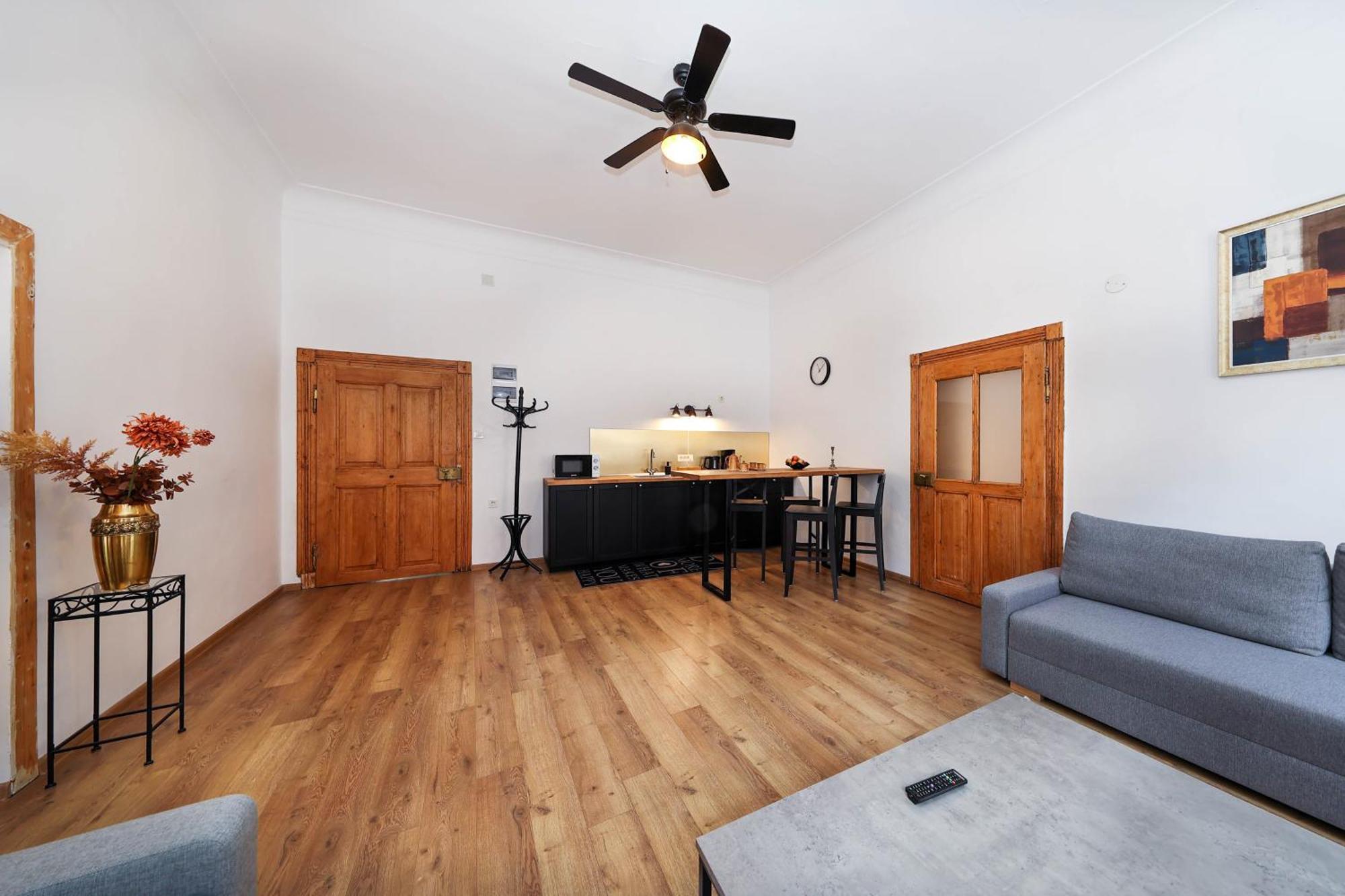 Hirscher Apartments Брашов Номер фото